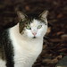 Elizabeth Lange Photo 19
