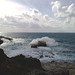 Regina Capo Photo 9