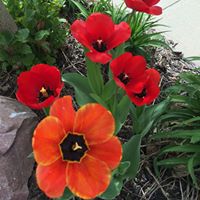Paula Stanley Photo 22
