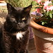 Gary Thomas Photo 54