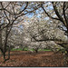 Lisa Groves Photo 10