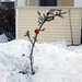Kellie Neighbors Photo 8