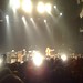 Tracey Haines Photo 11