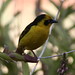 Karen Weaver Photo 22
