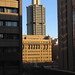 Thomas Dunn Photo 36
