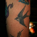 Bob Grimm Photo 13
