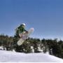 Shawna Willis Photo 23