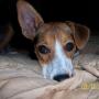 Linda Mckinney Photo 9