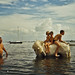 Alfred Armstrong Photo 5