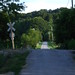 Lane Walker Photo 34