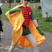 Don Robins Photo 22