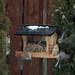 Jennifer Knutson Photo 41