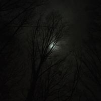 Kristi Lowery Photo 9