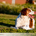 Colleen Nielsen Photo 22