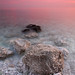 Rosa Stone Photo 15