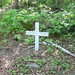 Tom Thompson Photo 16