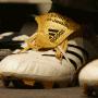 John Meaney Photo 20