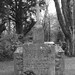 Margaret Roll Photo 11