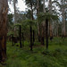 Alexandra Downs Photo 8