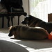 Crystal Hucks Photo 5