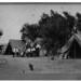Elmer Cook Photo 8