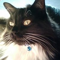 Kathy Lineberry Photo 6