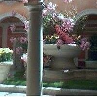 Mary Flagg Photo 12
