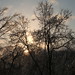 Jenny Poole Photo 27