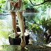 Hayley Stone Photo 11