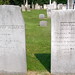 Andrew Olmsted Photo 30