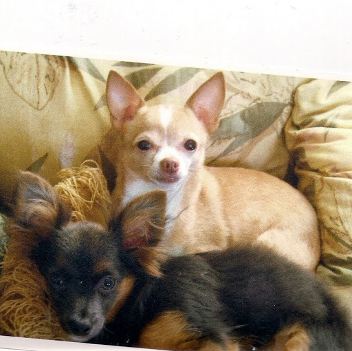 Kathy Bailey Photo 27