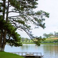 Chi Dinh Photo 17