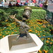 Donald Gay Photo 21