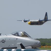 Patricia Kidder Photo 10