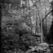 Daniel Forrest Photo 8