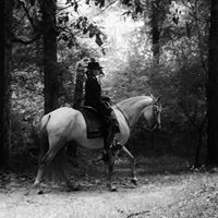 Jane Blais Photo 4
