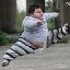 Brian Shaffer Photo 44