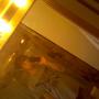 Brandon Lawless Photo 10