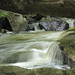 Gary Tew Photo 17