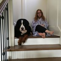 Sandra Mcquillan Photo 14