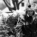 Martin Marshall Photo 30