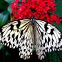 Jeanne Olson Photo 8