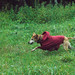 Beatrice Johnston Photo 10