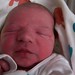 Brady Ellis Photo 7