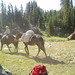 Cynthia Bye Photo 2