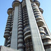 Frank Vivio Photo 11