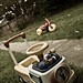 Clayton Young Photo 24
