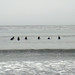 Jason Karp Photo 31