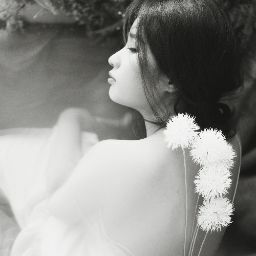 Dong Trinh Photo 7
