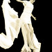 Robyn Holloway Photo 9